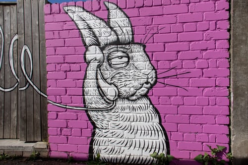Phone Rabbit